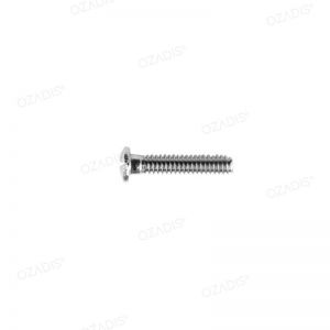 Eyeglass screws - Silver