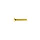 Eyeglass screws - Gold