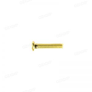 Eyeglass screws - Gold