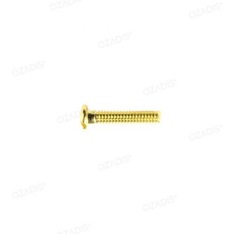 Eyeglass screws - Gold