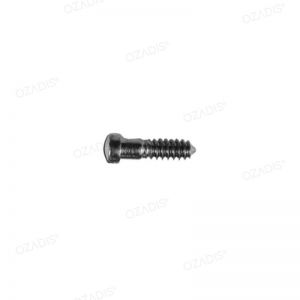 Nose pads screws - Silver