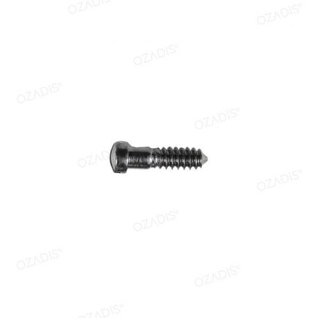 Nose pads screws - Silver