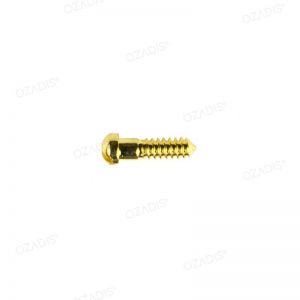 Nose pads screws - Silver