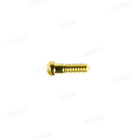 Nose pads screws - Silver