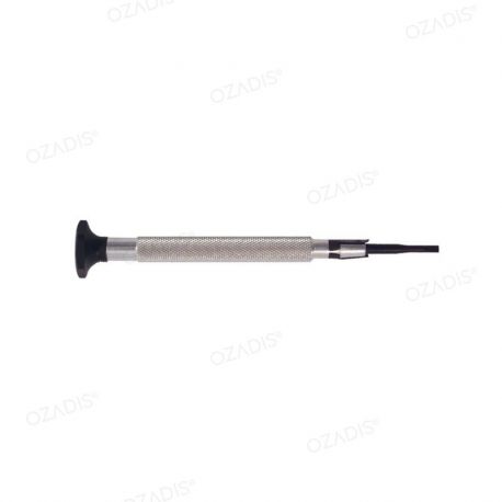 Screwdriver with double end blade