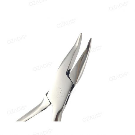 Curved beaks plier